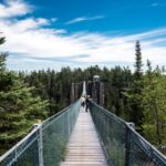Camaro Suspension - people walking on bridge between pine trees